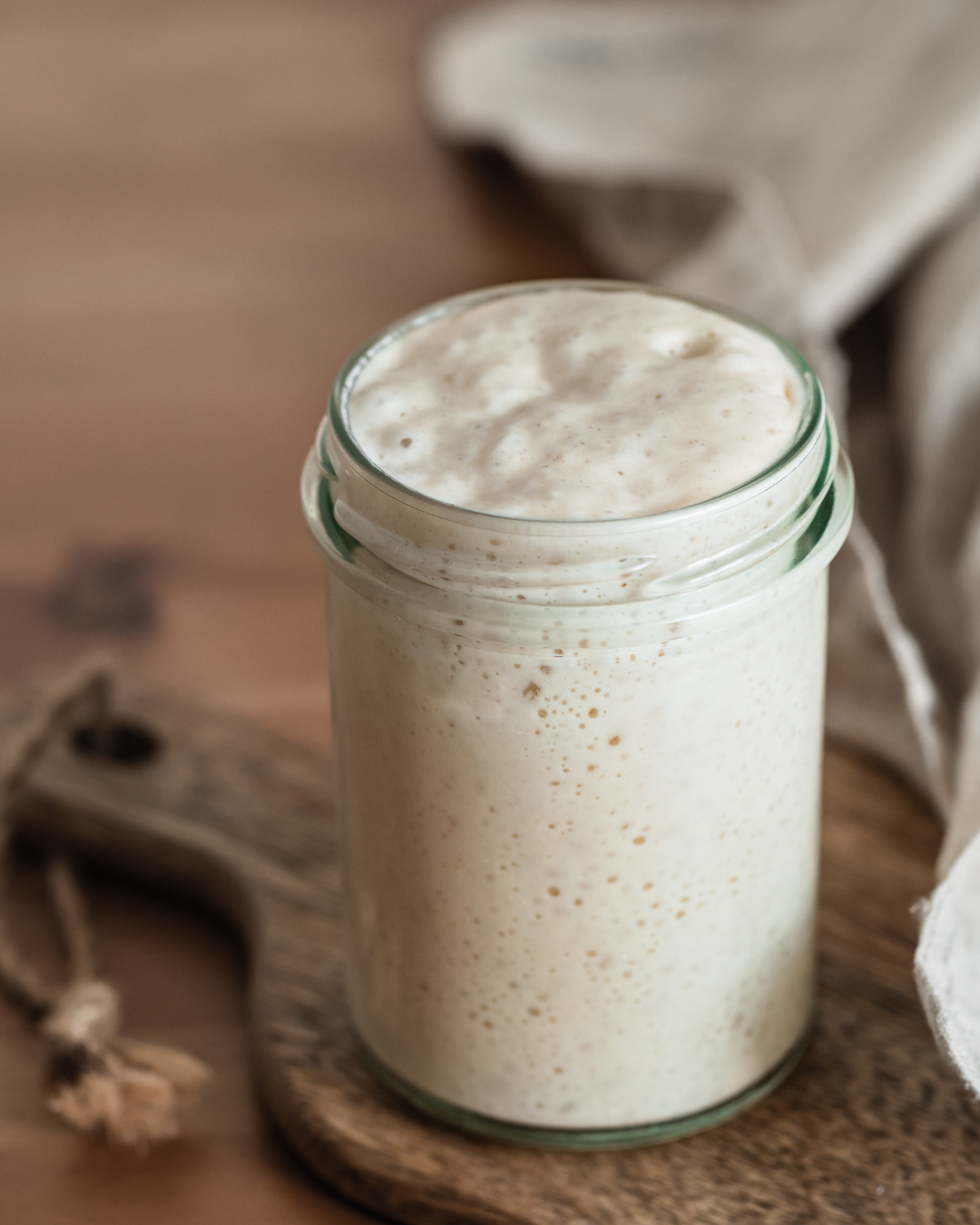 Wild yeast and lactic acid bacteria fermenting in a sourdough starter jar