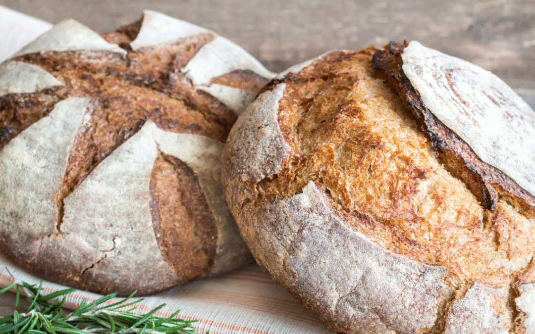 Two rustic beginner sourdough loaves with golden crust and scored tops, baked until crisp and cooling on a cloth-lined surface