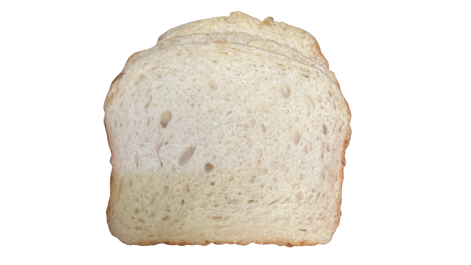 Honeycloud Sourdough Bread Slice Close-Up A close-up of a single slice of Honeycloud sourdough sandwich bread on a white background, highlighting its tender, cloud-like crumb and thin golden crust.
