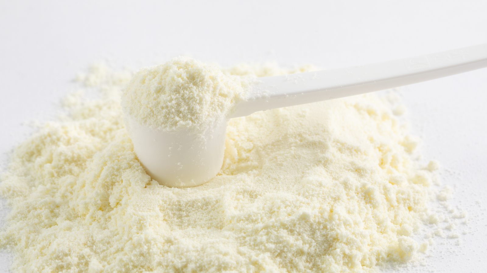 A scoop of milk powder on a white surface, showing the fine texture used to enrich bread dough and improve flavor, browning, and softness.