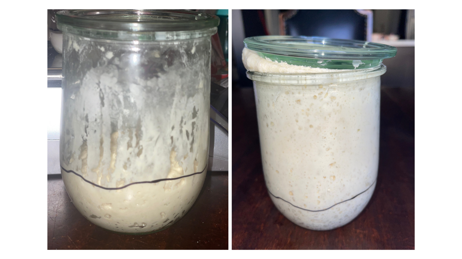 Side-by-side jars of a 100% hydration liquid sourdough starter. The left jar shows a freshly mixed starter with minimal rise, while the right jar shows a fully active, bubbly starter that has risen to the lid and is ready to use.