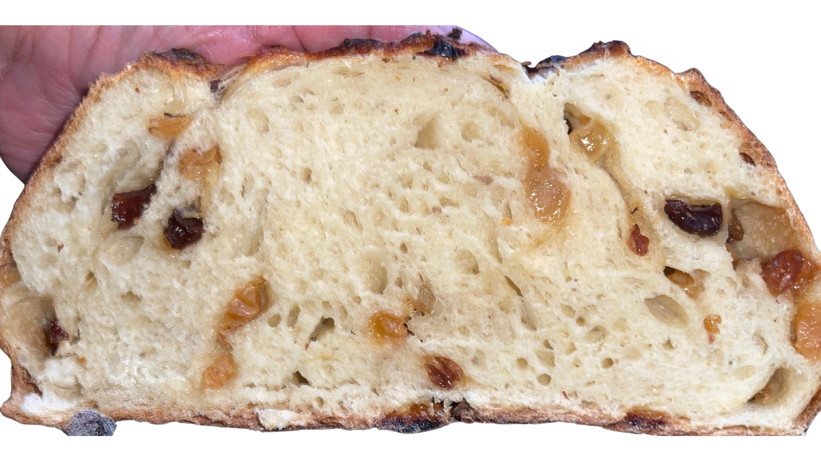 Close-up of the crumb of champagne sourdough bread showing a soft, airy interior with golden and dark raisins baked throughout