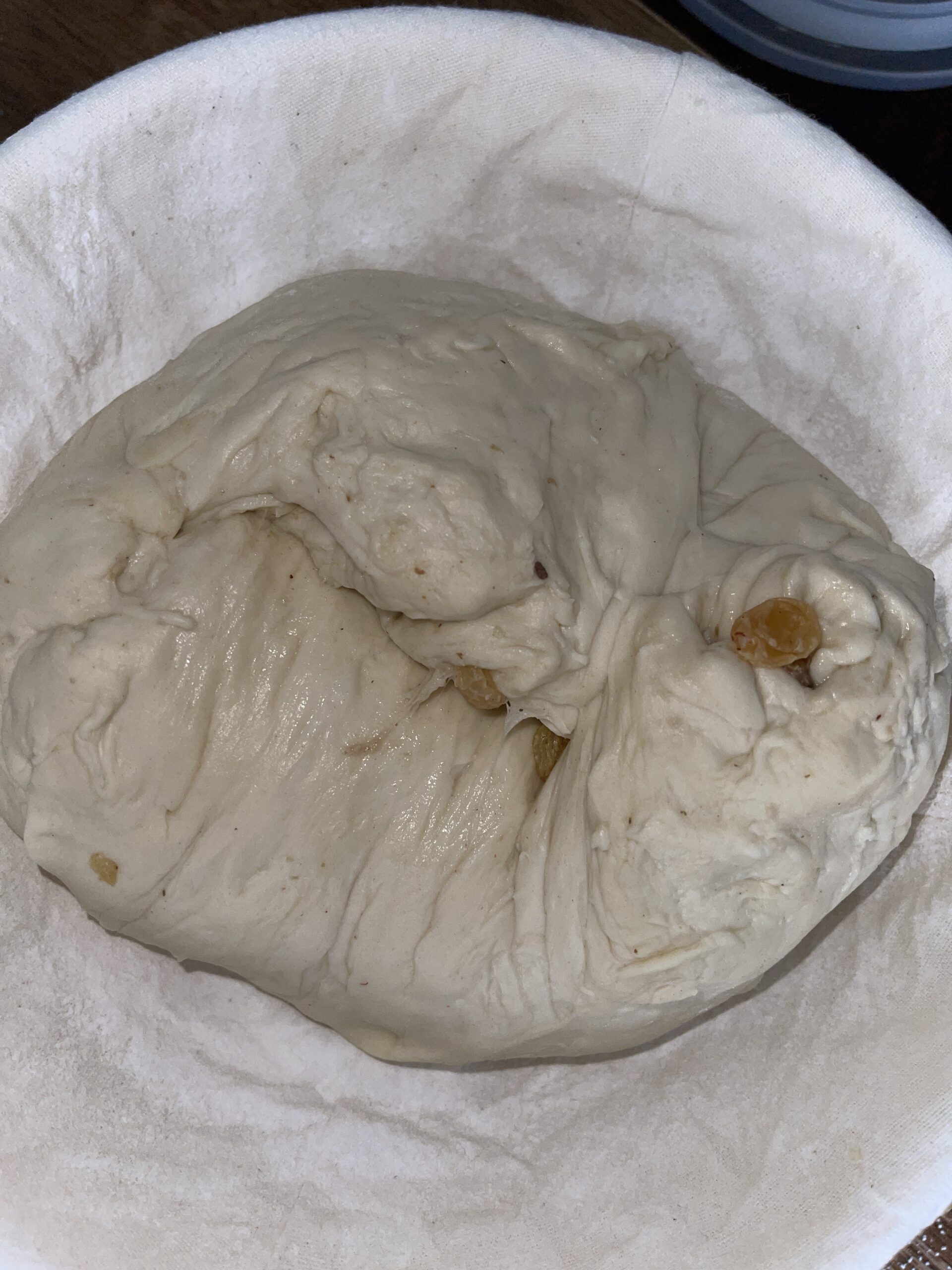 Cold-shaped champagne sourdough bread dough resting in a floured banneton, showing tighter structure and seam placement before final proof and baking.