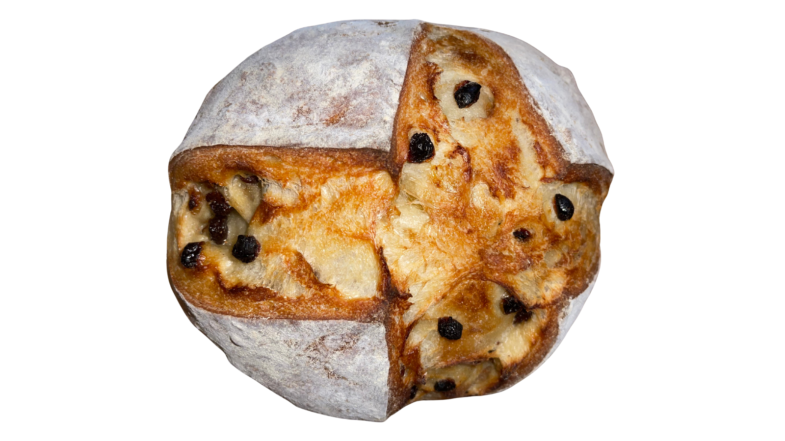 Finished champagne sourdough bread baked in a Dutch oven, featuring a rustic cross score, golden crust, and visible raisins baked into the crumb.
