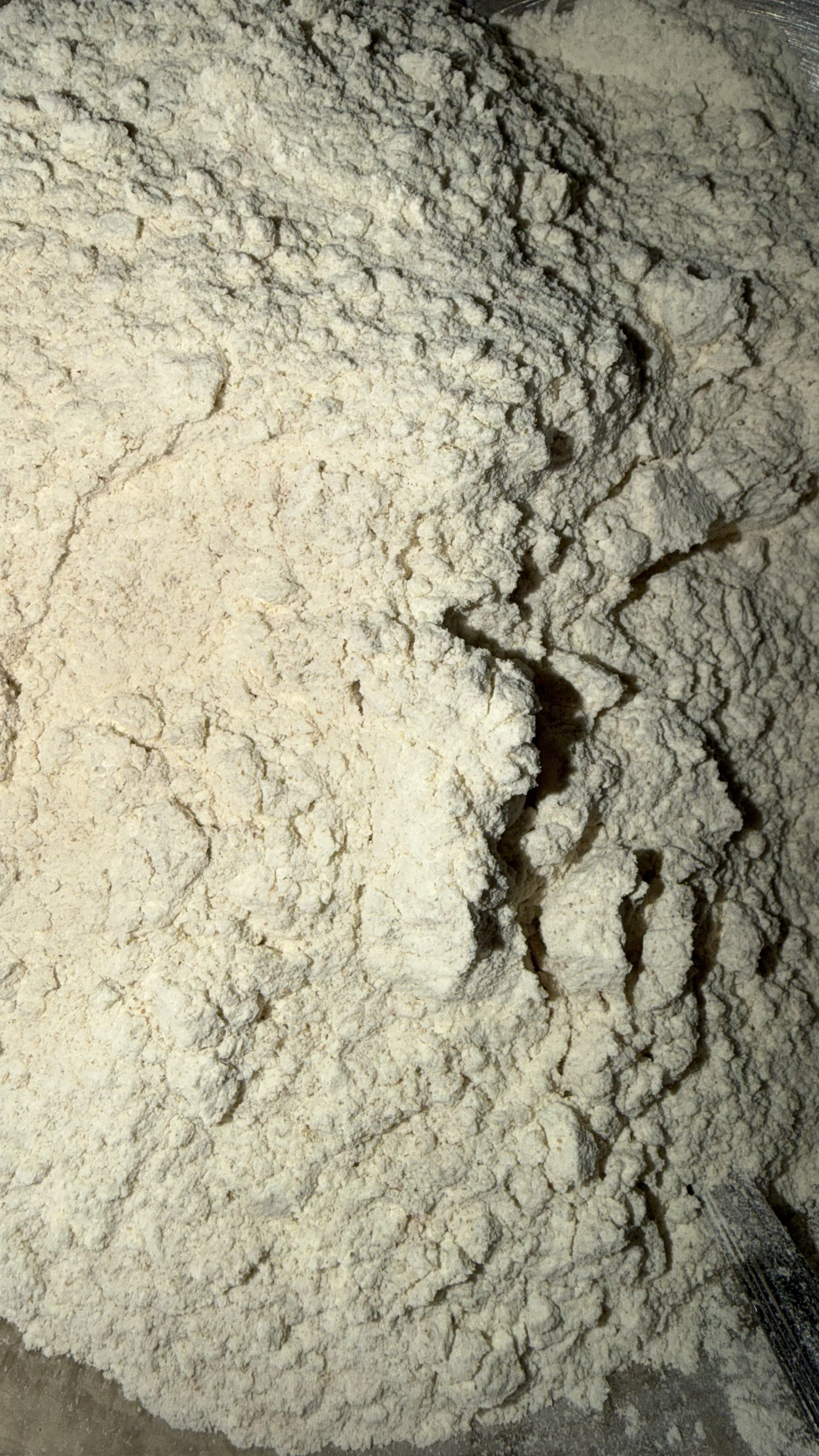 Bread flour, whole wheat flour and rye flour used for cranberry pumpkin seed sourdough sandwich bread
